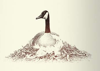 logo FAT DUCK