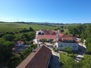 DFJ 14 Maio 2019 Drone (115) single estate Qta Porto Franco