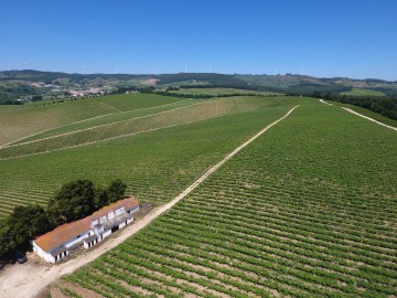 DFJ 14 Maio 2019 Drone (68) Single estate Quinta Porto Franco - Vinha do Casal de Sapo