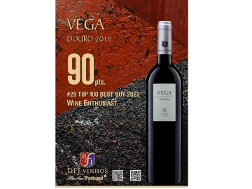 VEGA19_29top100BB22_red10