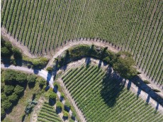 DFJ 14 Maio 2019 Drone (30)