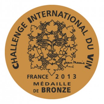 Chall13_Bronze