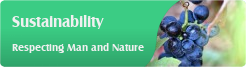 Sustainability