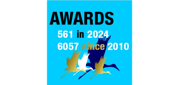 logo premios DFJ 2024_561_6057_storks_quadrado