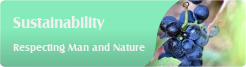 Sustainability
